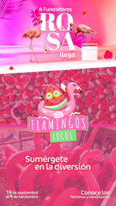 Flamingos Locos